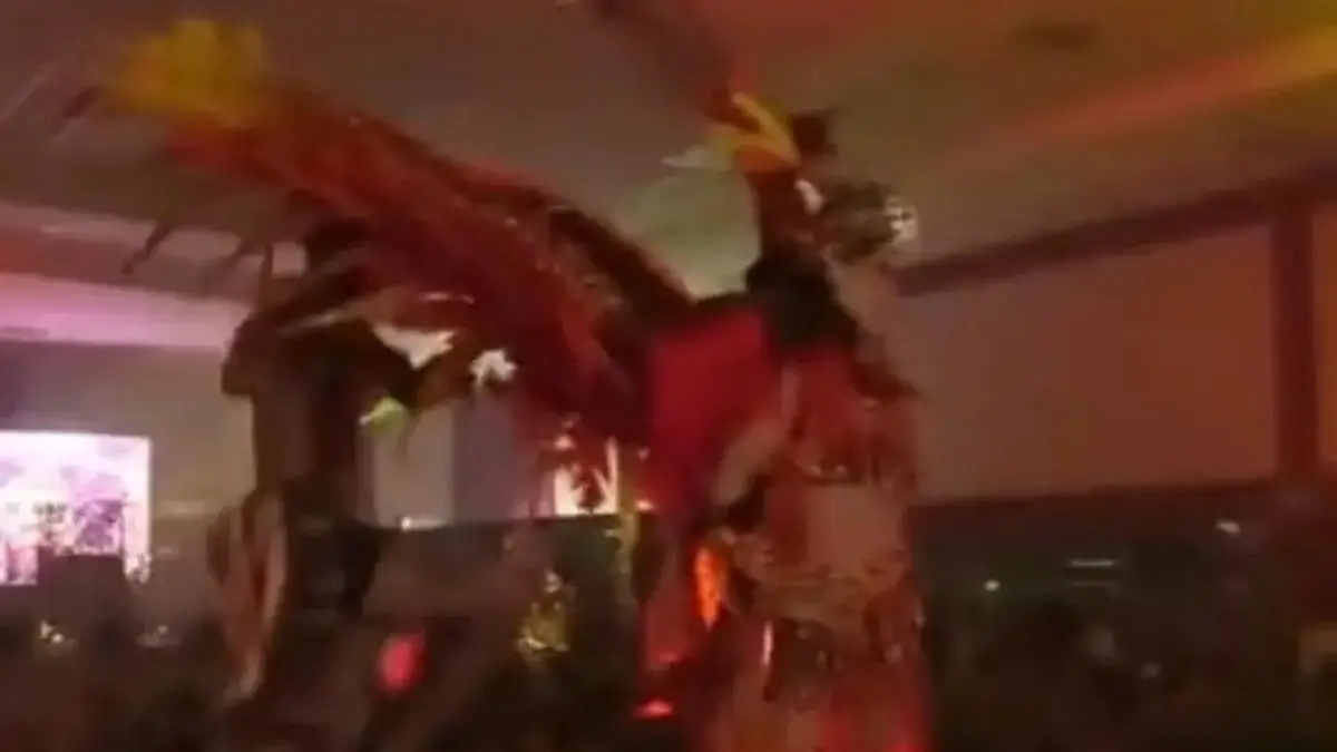 Se cae el escenario en la elección de la Reina del Carnaval de Yanga, Veracruz (+video)